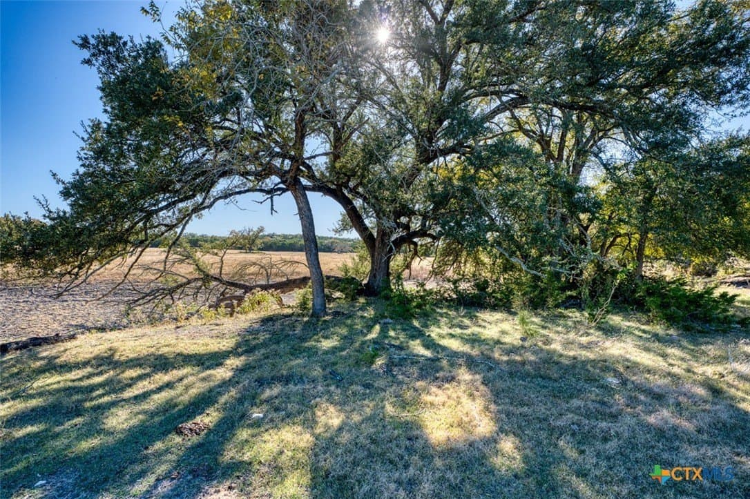 167 acres in Bell County - photo 13