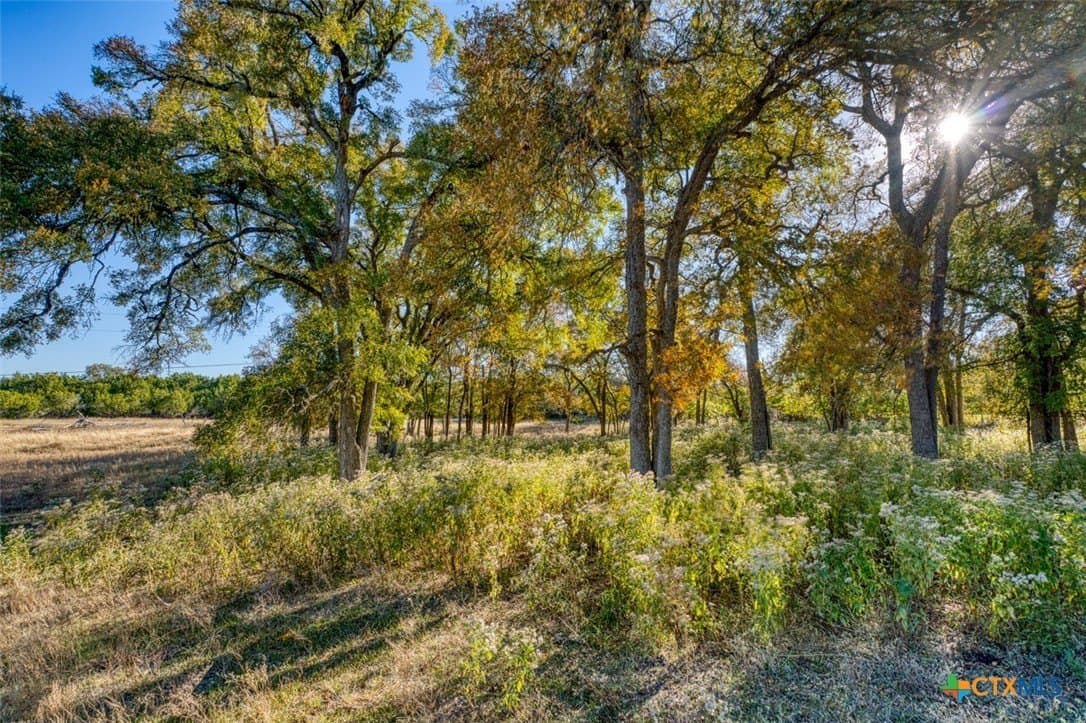 167 acres in Bell County - photo 29