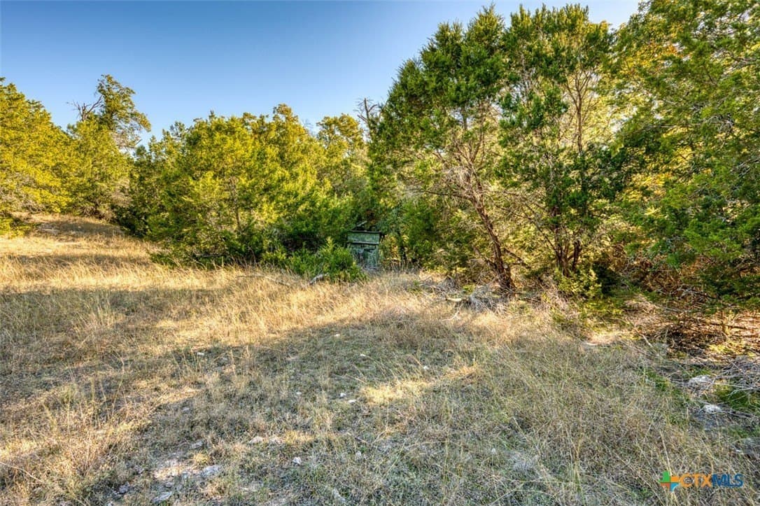 167 acres in Bell County - photo 22