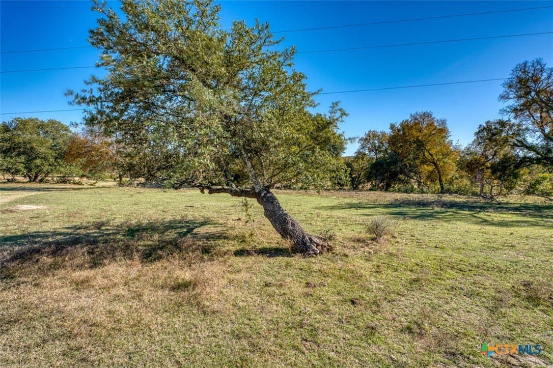 167 acres in Bell County - photo 8
