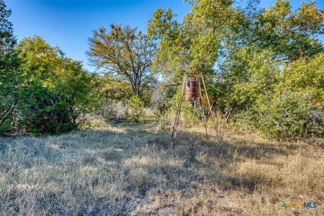 167 acres in Bell County - photo 21