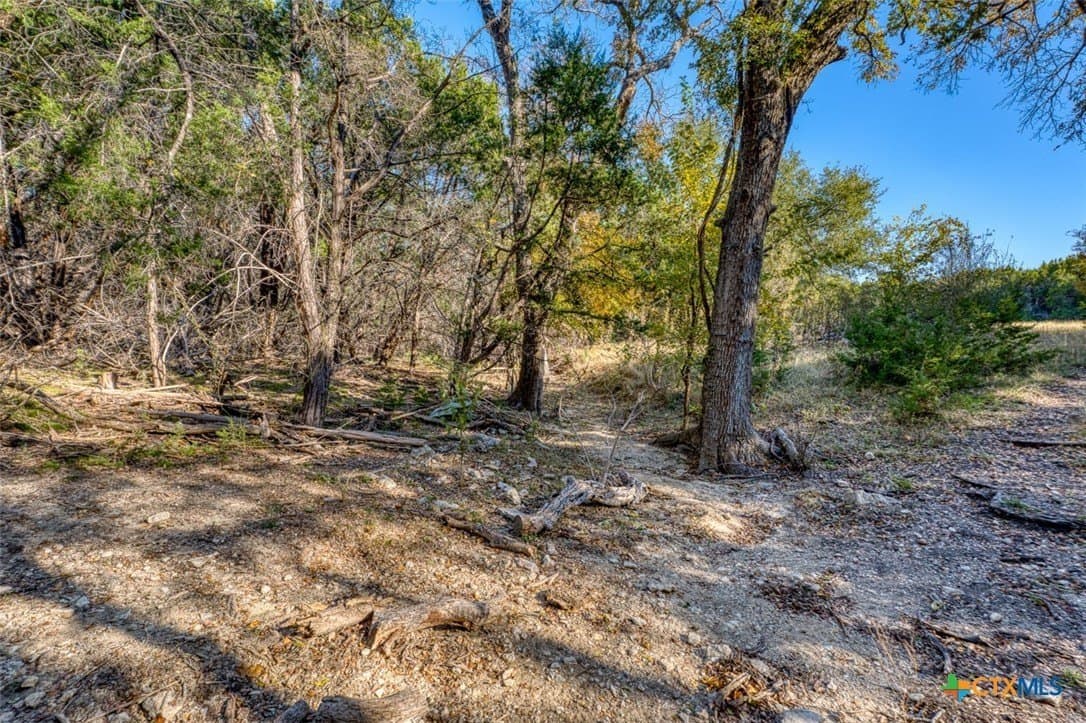 167 acres in Bell County - photo 27
