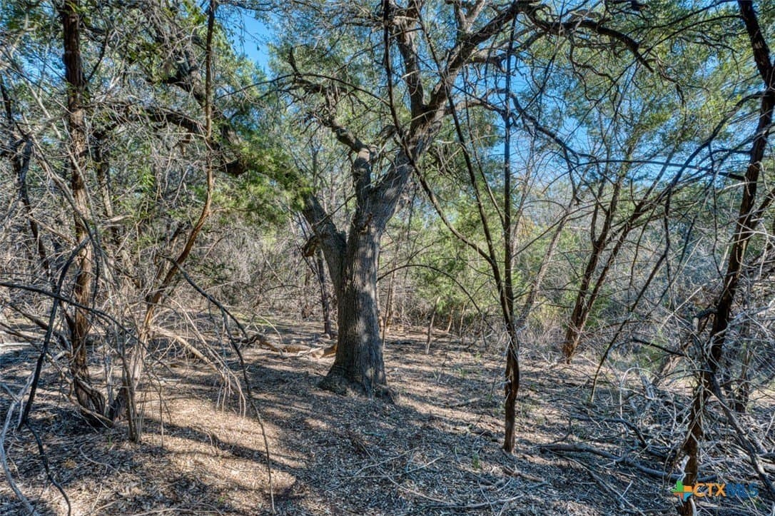 167 acres in Bell County - photo 28