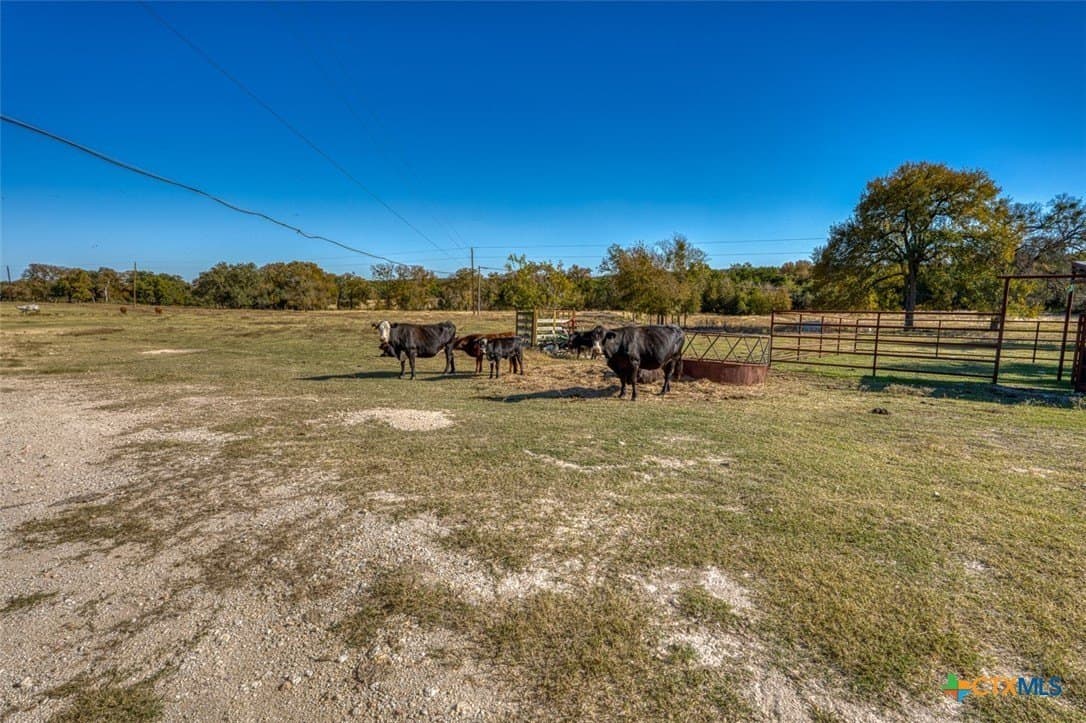167 acres in Bell County - photo 6