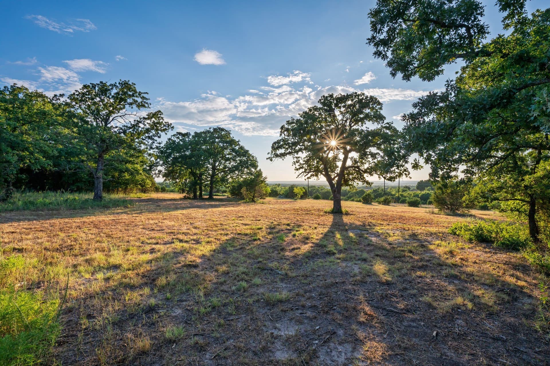 5.03 acres in Parker County - photo 11