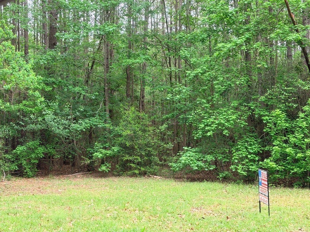 1 acres in Texas County gallery image 4