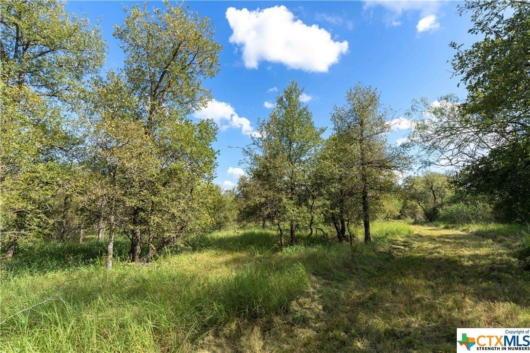 26.36 acres in Caldwell County gallery image 2