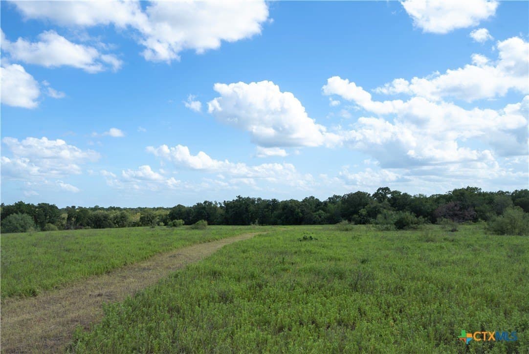 26.36 acres in Caldwell County gallery image 4