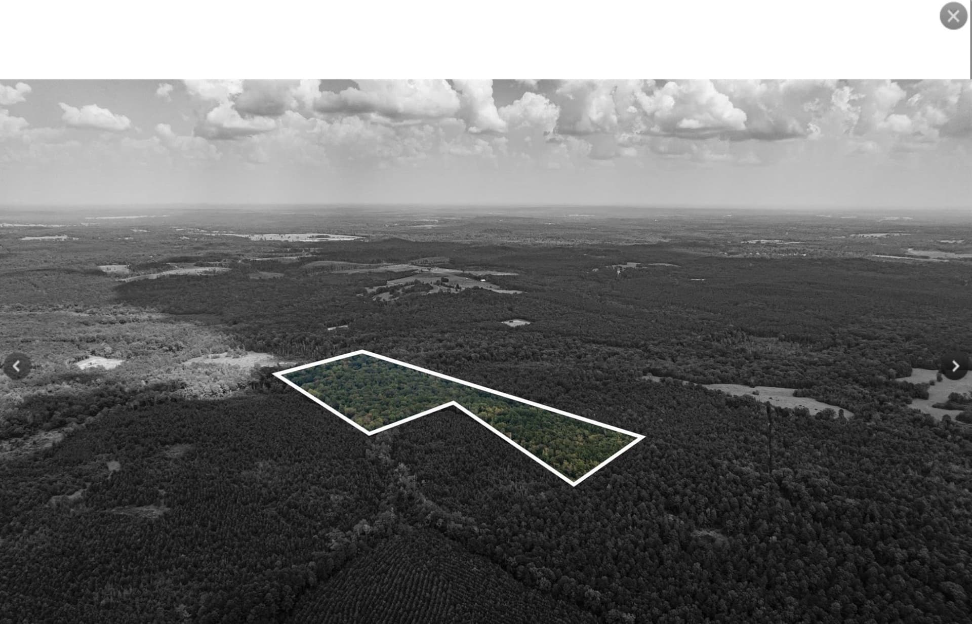 32.42 acres in Cass County - photo 9