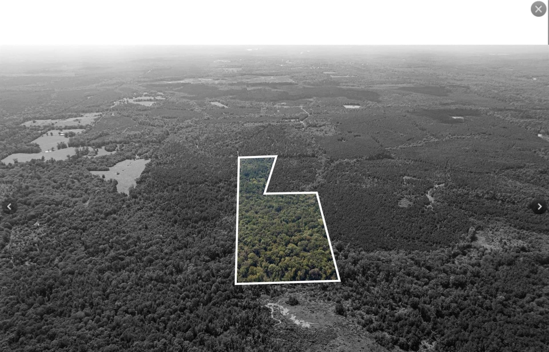 32.42 acres in Cass County - photo 10