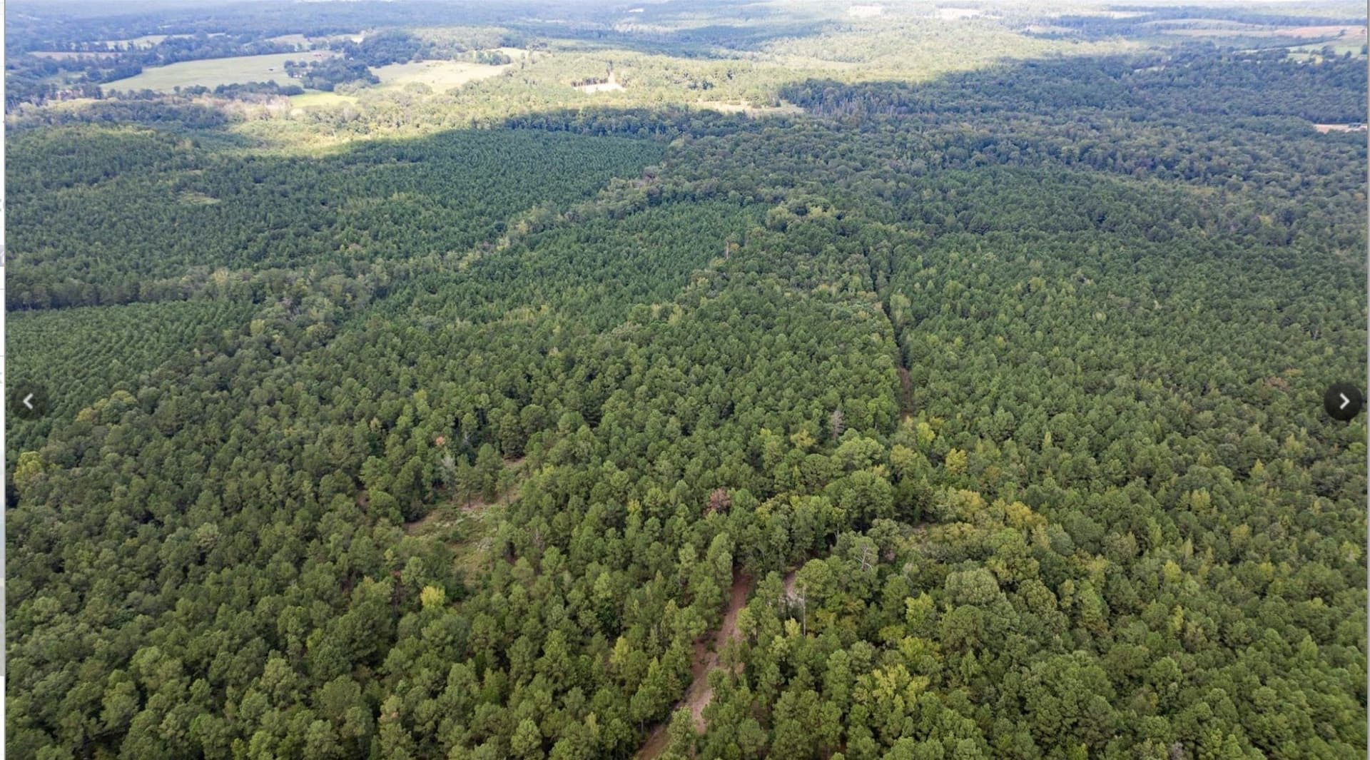 32.42 acres in Cass County gallery image 3