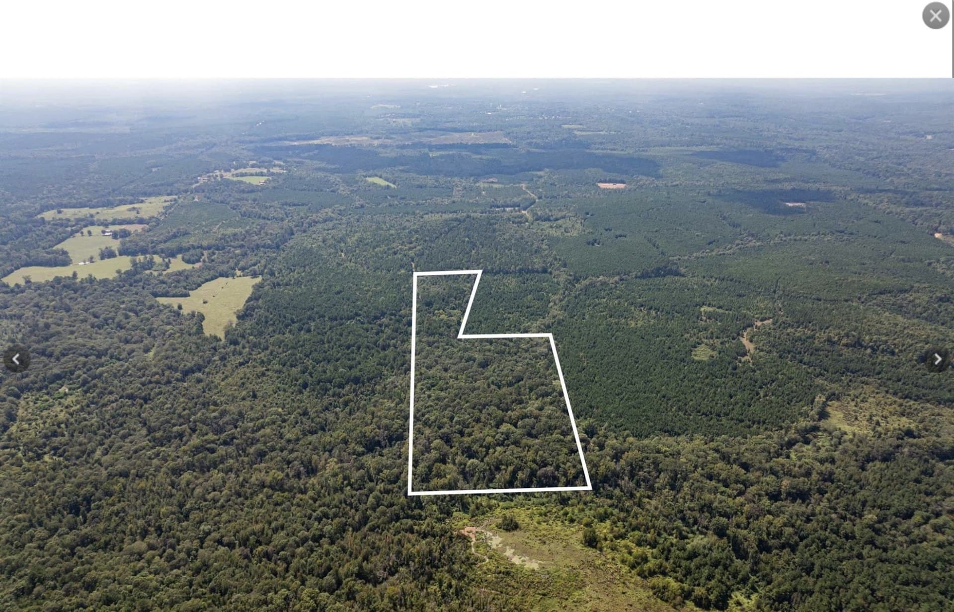 32.42 acres in Cass County - photo 8