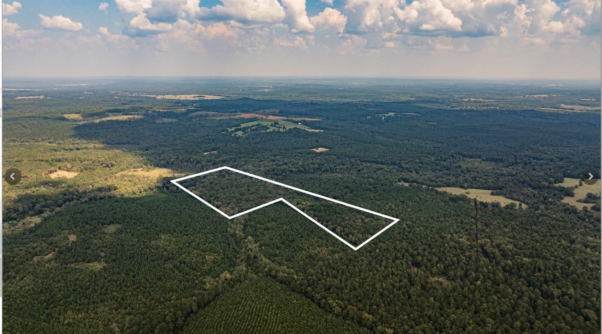 32.42 acres in Cass County gallery image 2