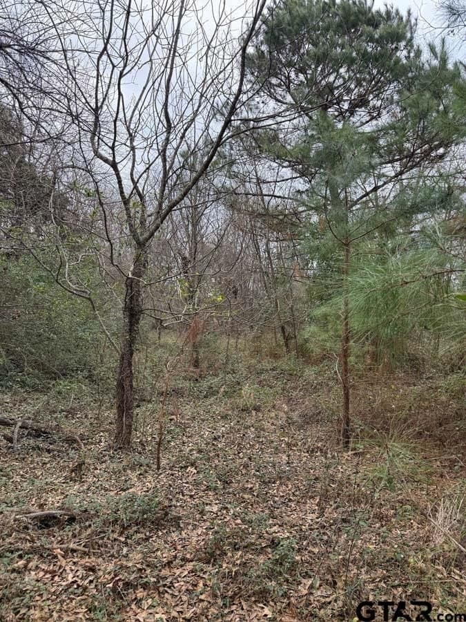 6.4 acres in Smith County featured view