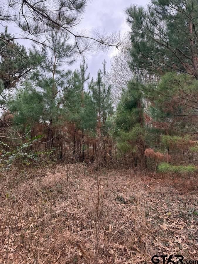 6.4 acres in Smith County gallery image 4