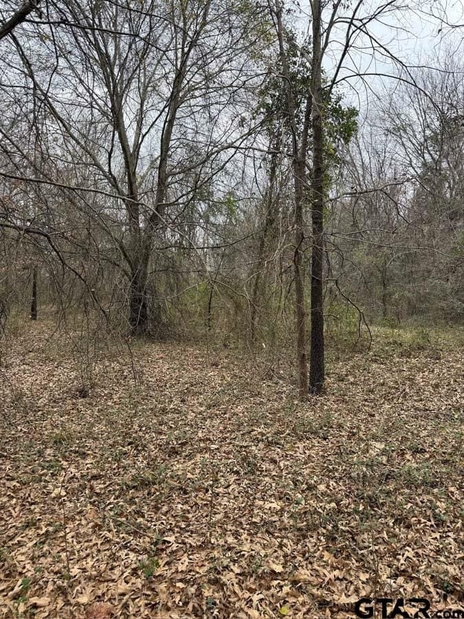 6.4 acres in Smith County gallery image 3