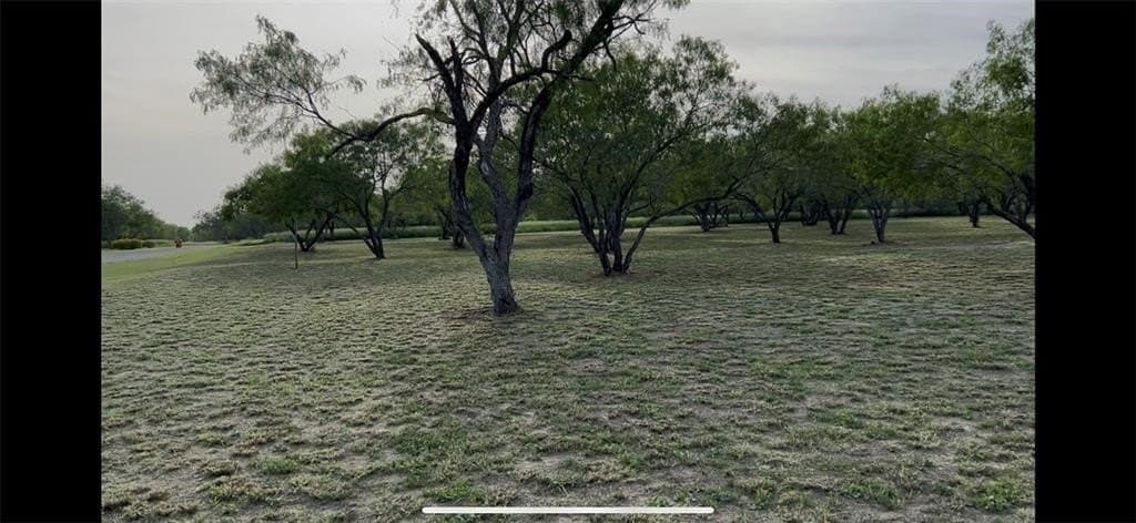 5 acres in San Patricio County - photo 7