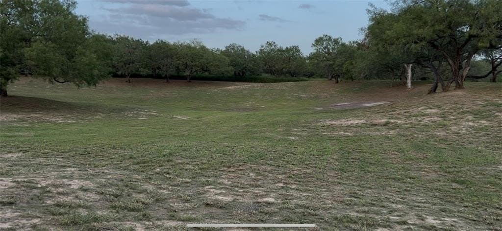 5 acres in San Patricio County gallery image 3