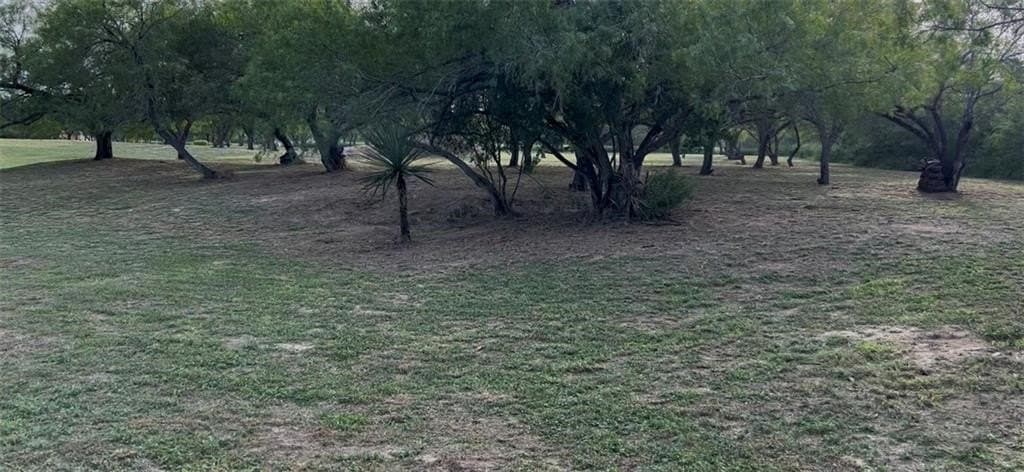5 acres in San Patricio County - photo 6