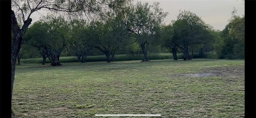 5 acres in San Patricio County gallery image 4