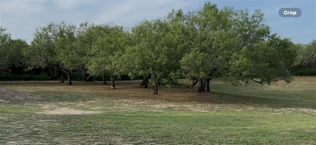 5 acres in San Patricio County gallery image 2