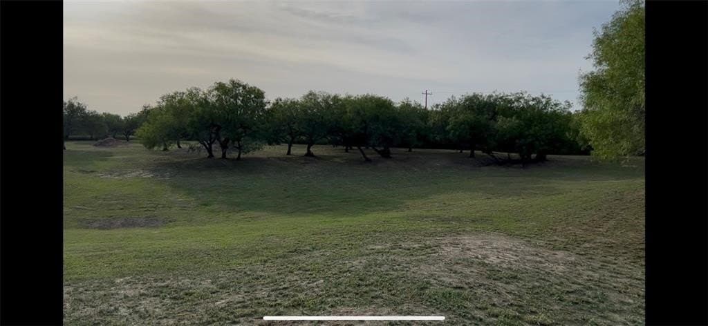 5 acres in San Patricio County - photo 8