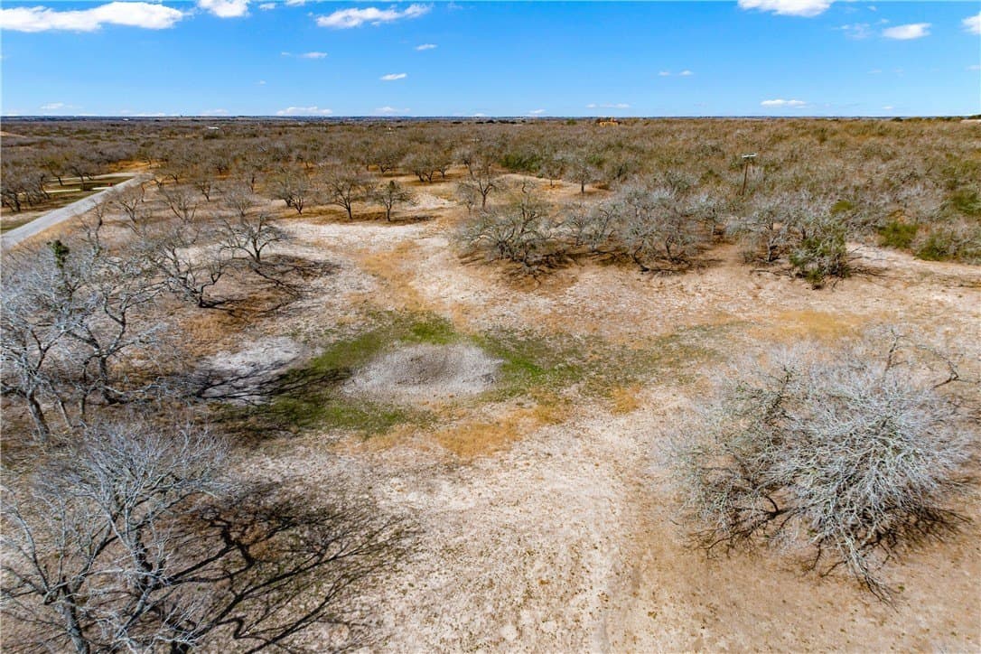 5 acres in San Patricio County - photo 15
