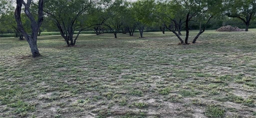 5 acres in San Patricio County featured view