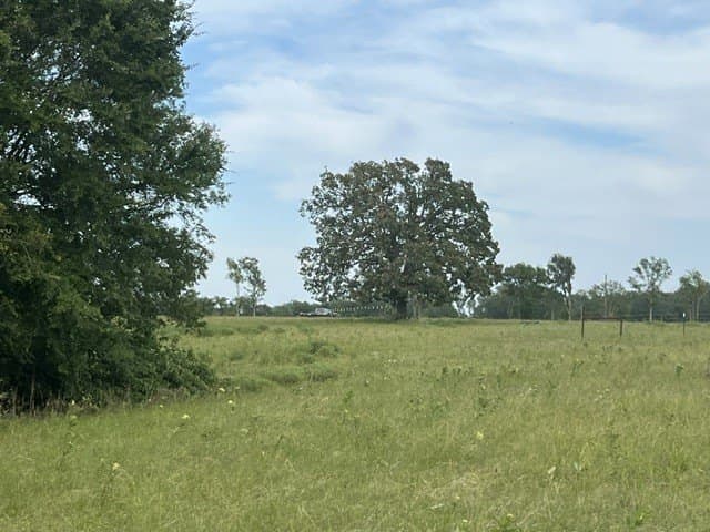 20 acres in Lamar County - photo 9