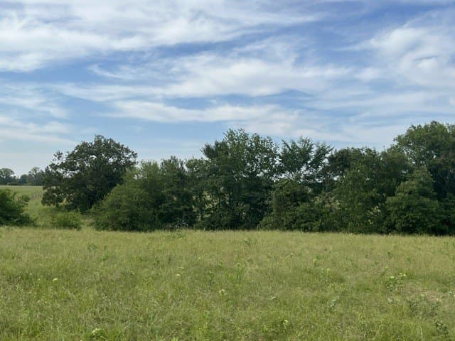 20 acres in Lamar County - photo 6