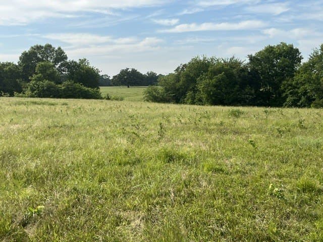 20 acres in Lamar County - photo 3