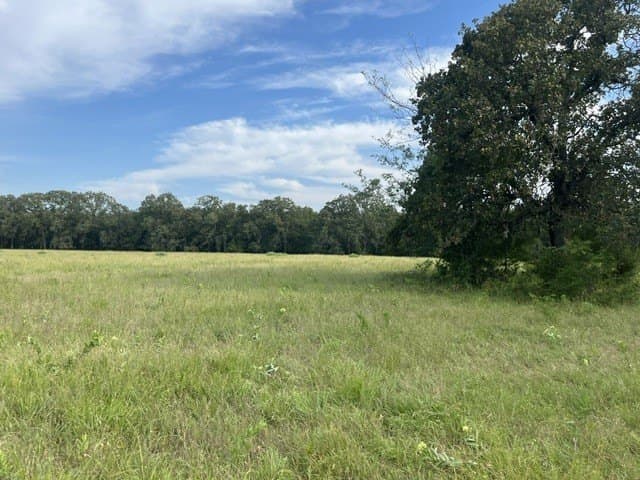 20 acres in Lamar County - photo 5