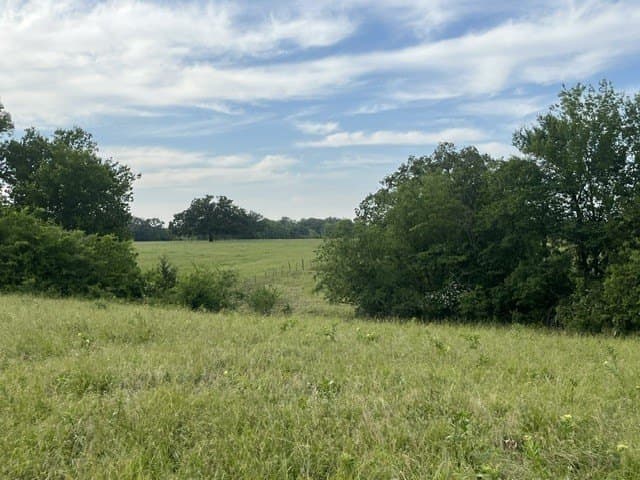 20 acres in Lamar County - photo 7