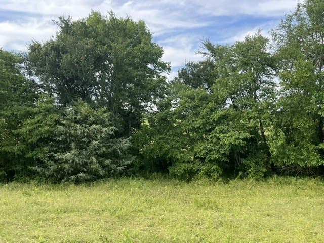 20 acres in Lamar County - photo 8