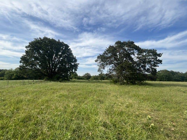 20 acres in Lamar County