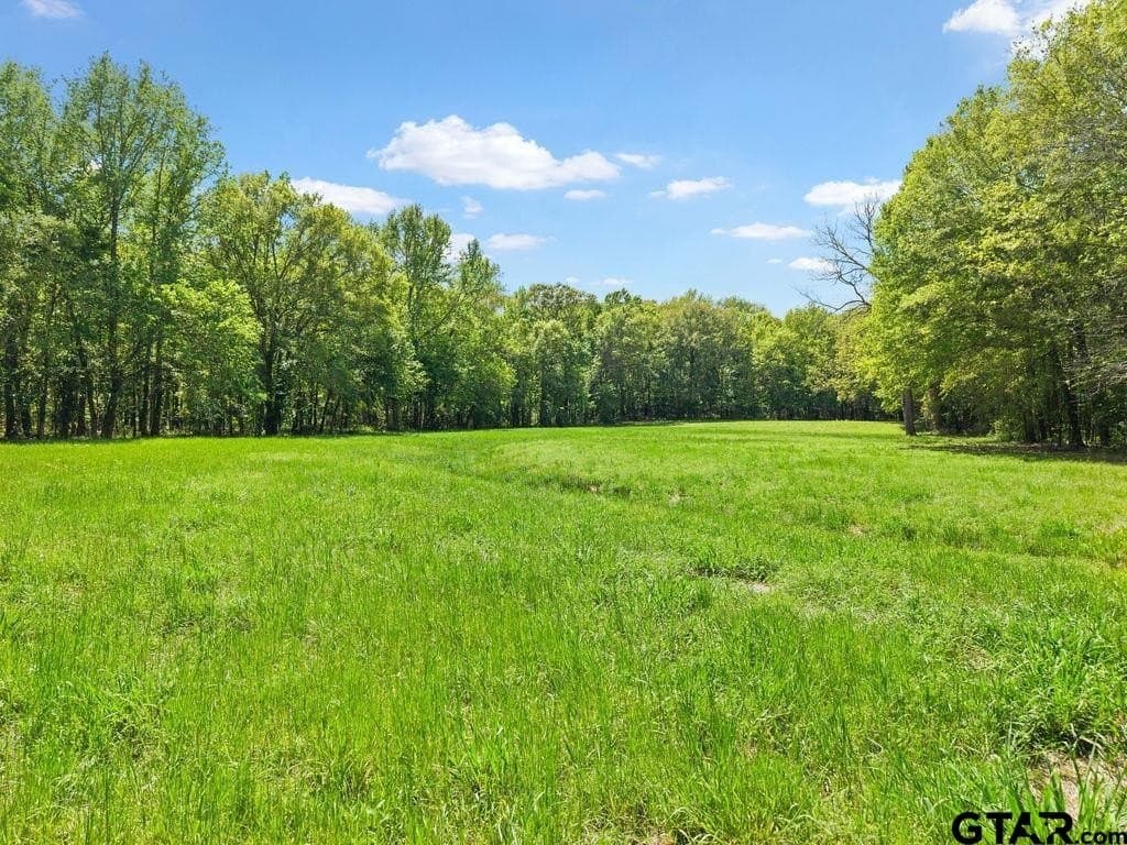 20.35 acres in Van Zandt County gallery image 3