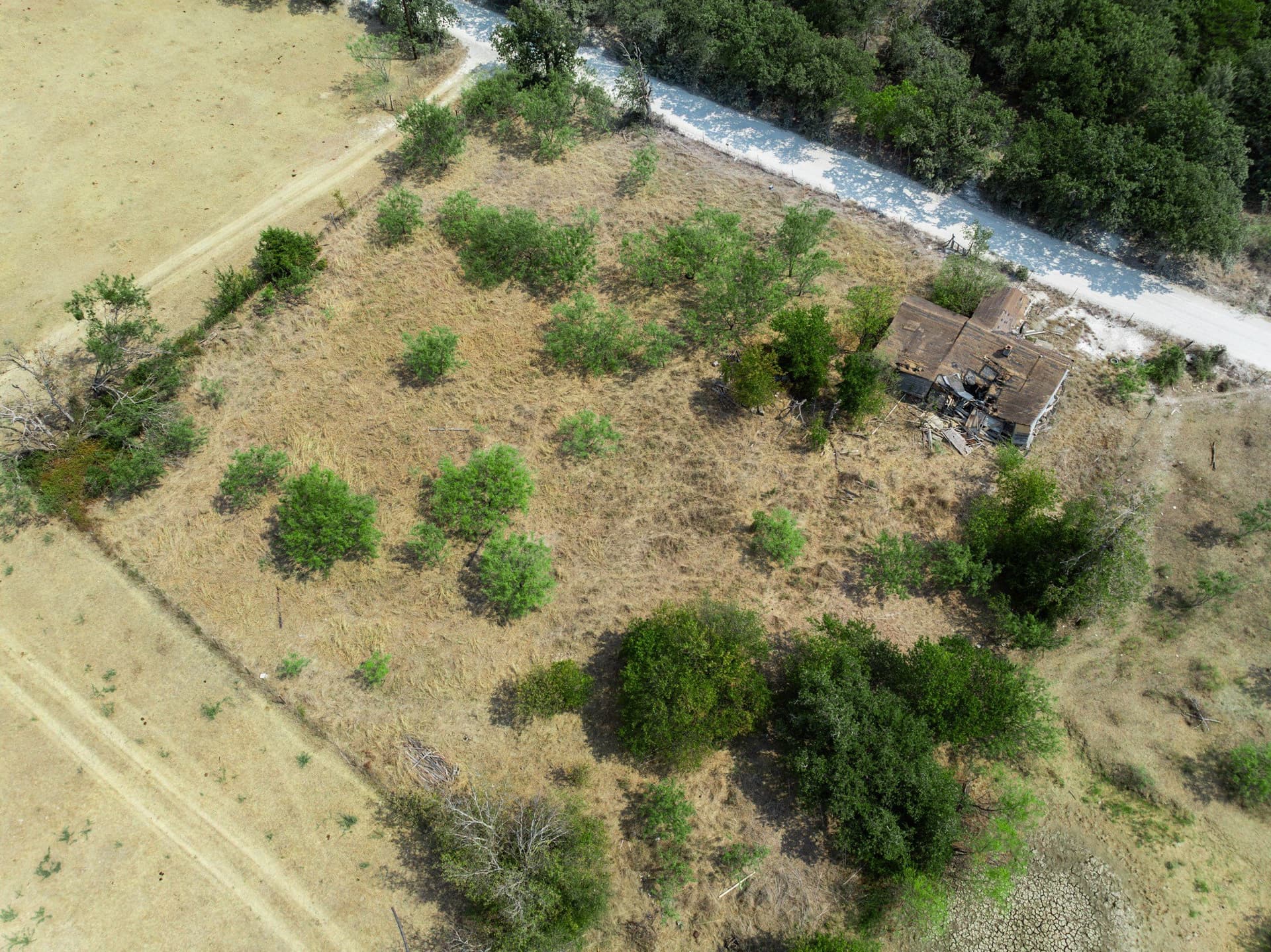 1 acres in Hill County - photo 14