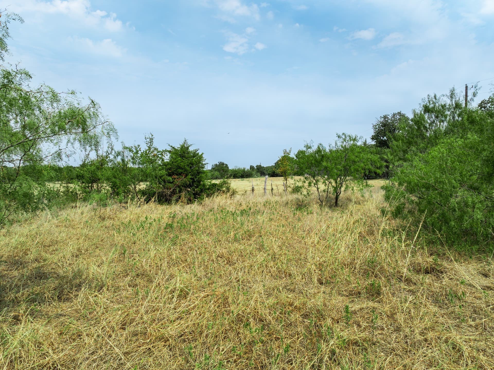 1 acres in Hill County - photo 3