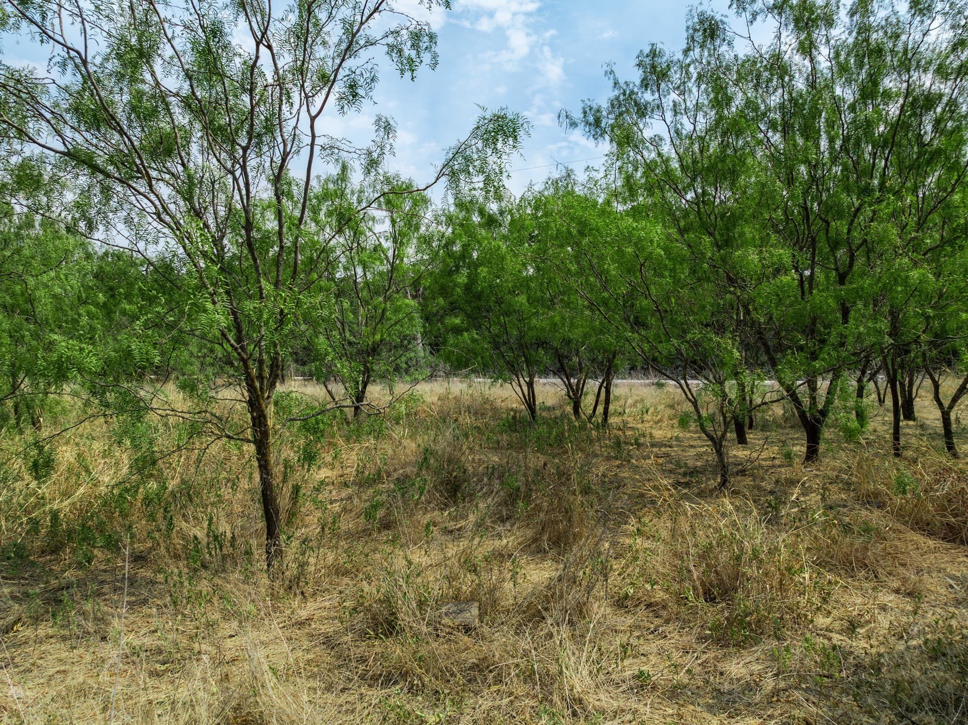 1 acres in Hill County - photo 20