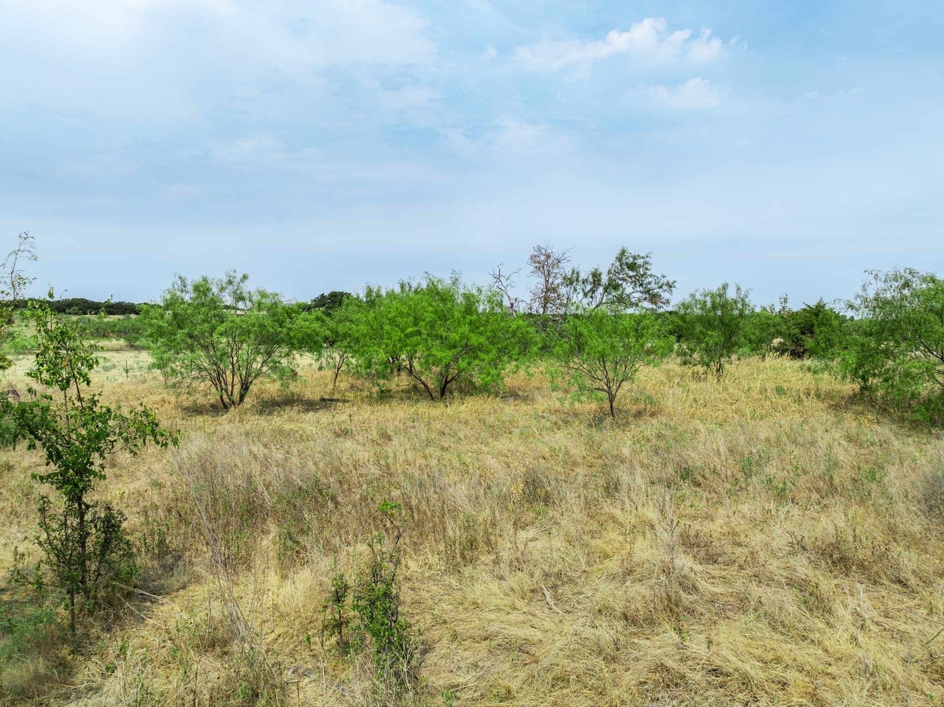 1 acres in Hill County - photo 19