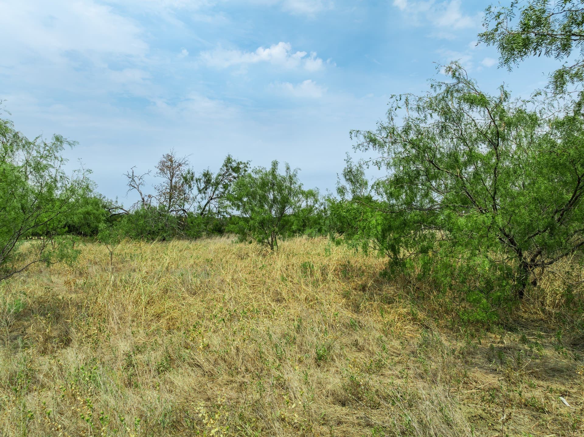 1 acres in Hill County - photo 21