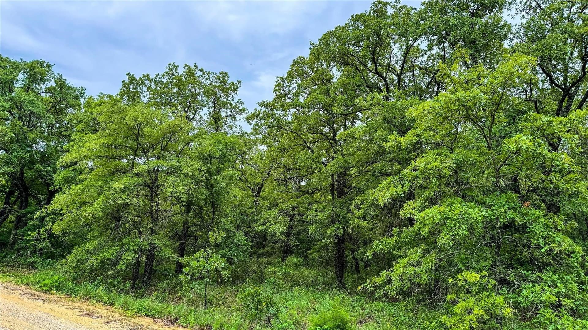 0.5 acres in Montague County - photo 16