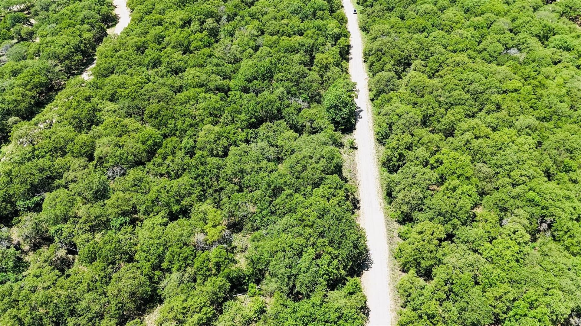 0.5 acres in Montague County - photo 4