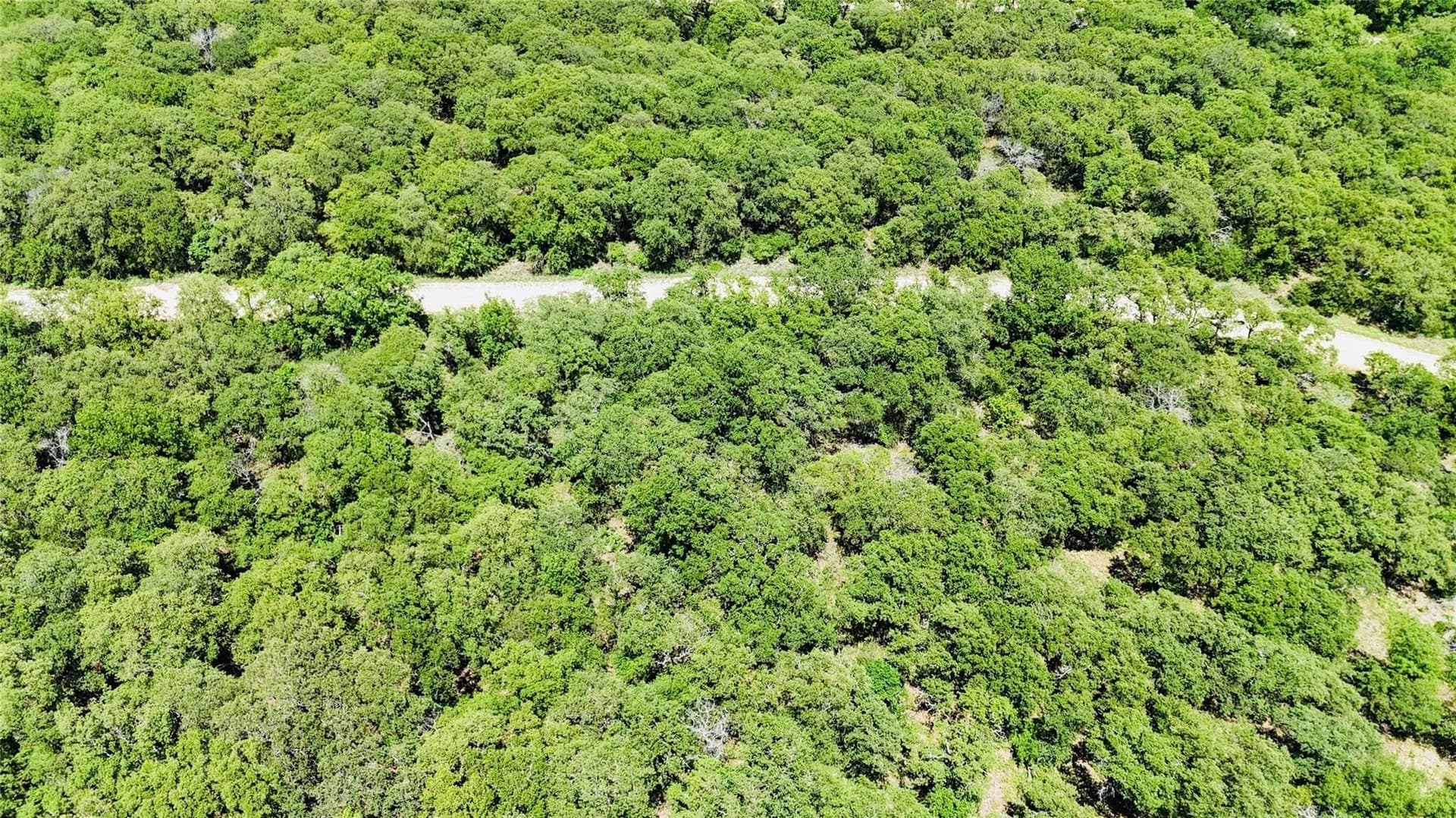 0.5 acres in Montague County - photo 21