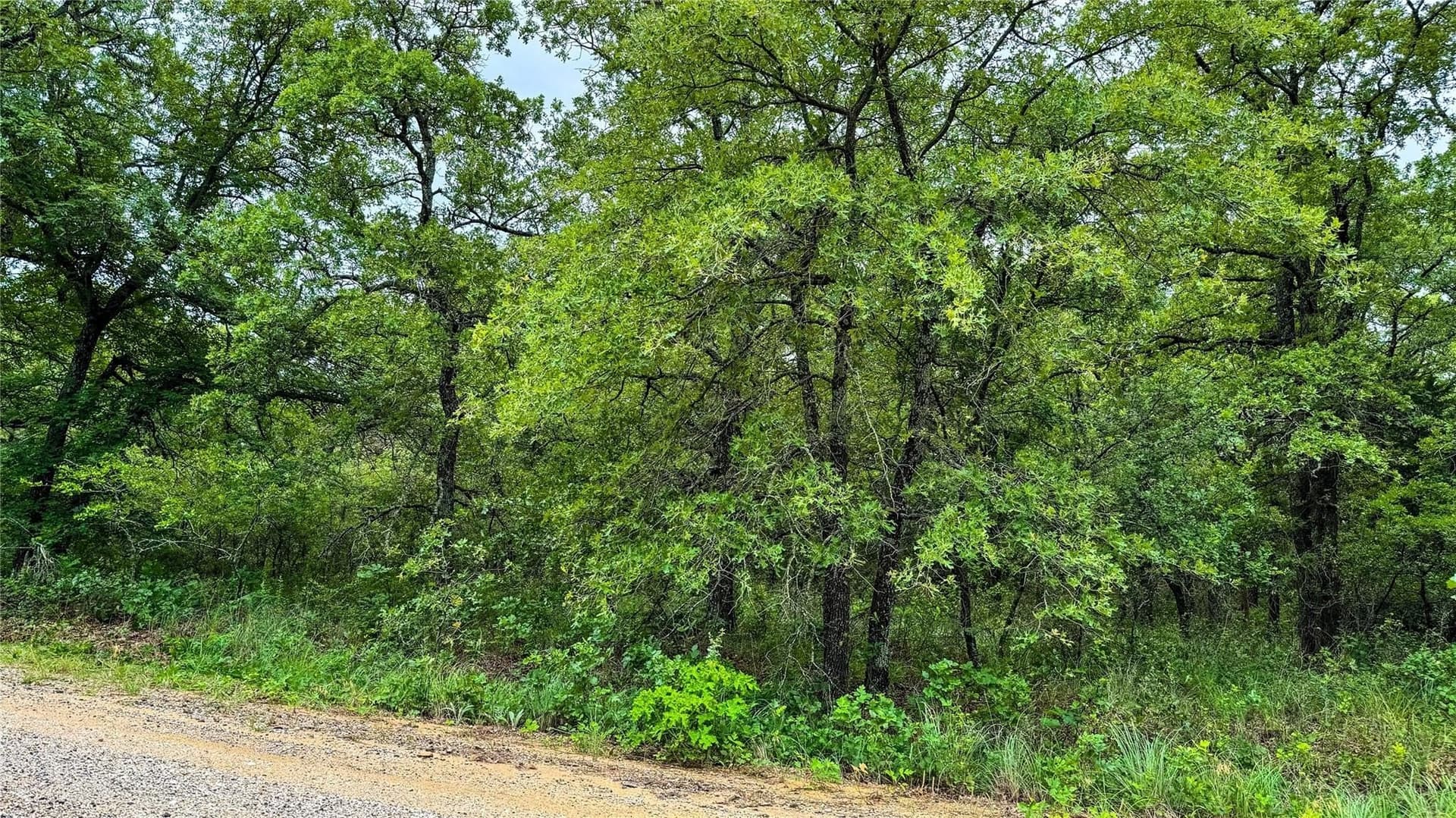 0.5 acres in Montague County - photo 18