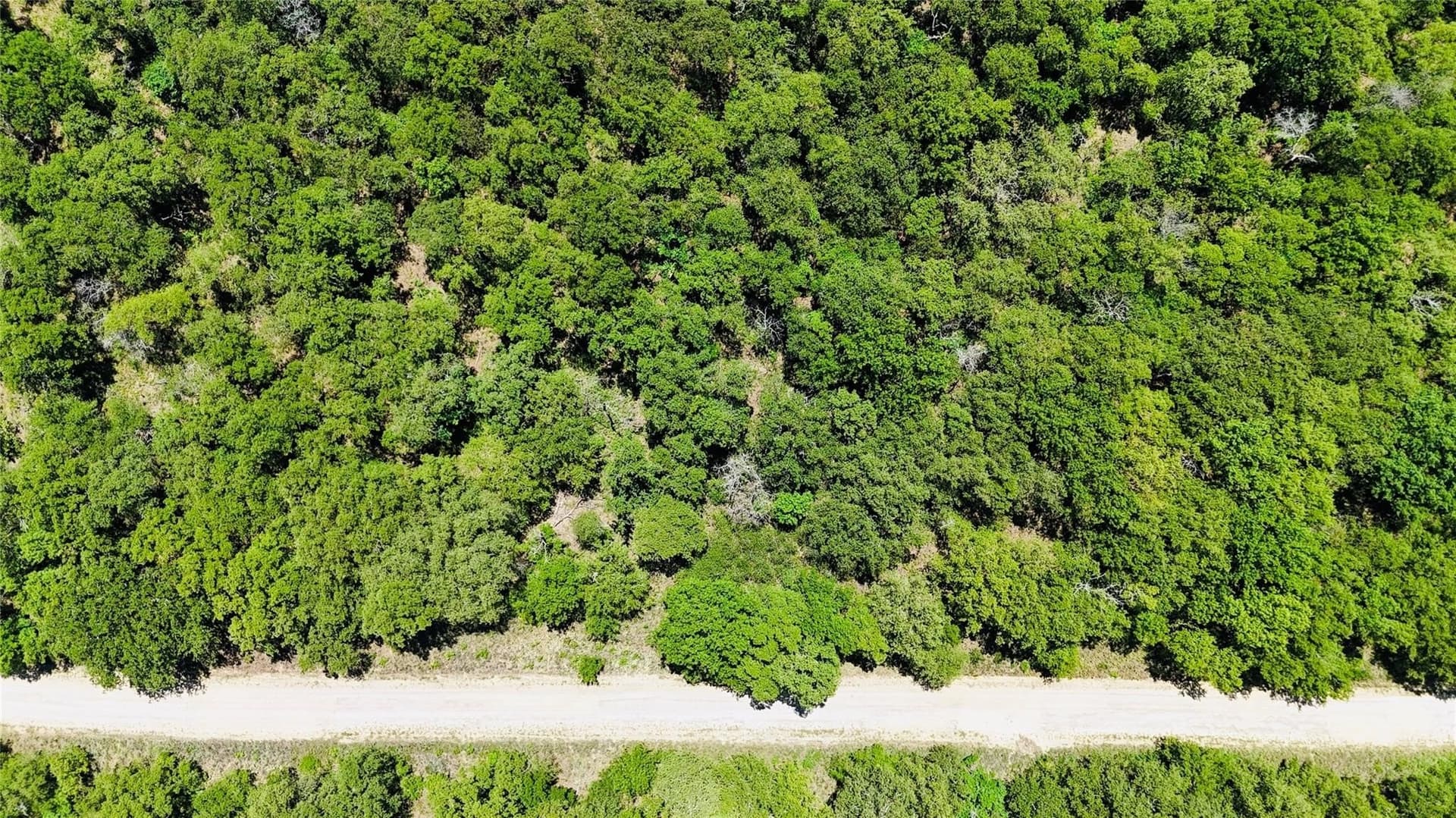 0.5 acres in Montague County - photo 22