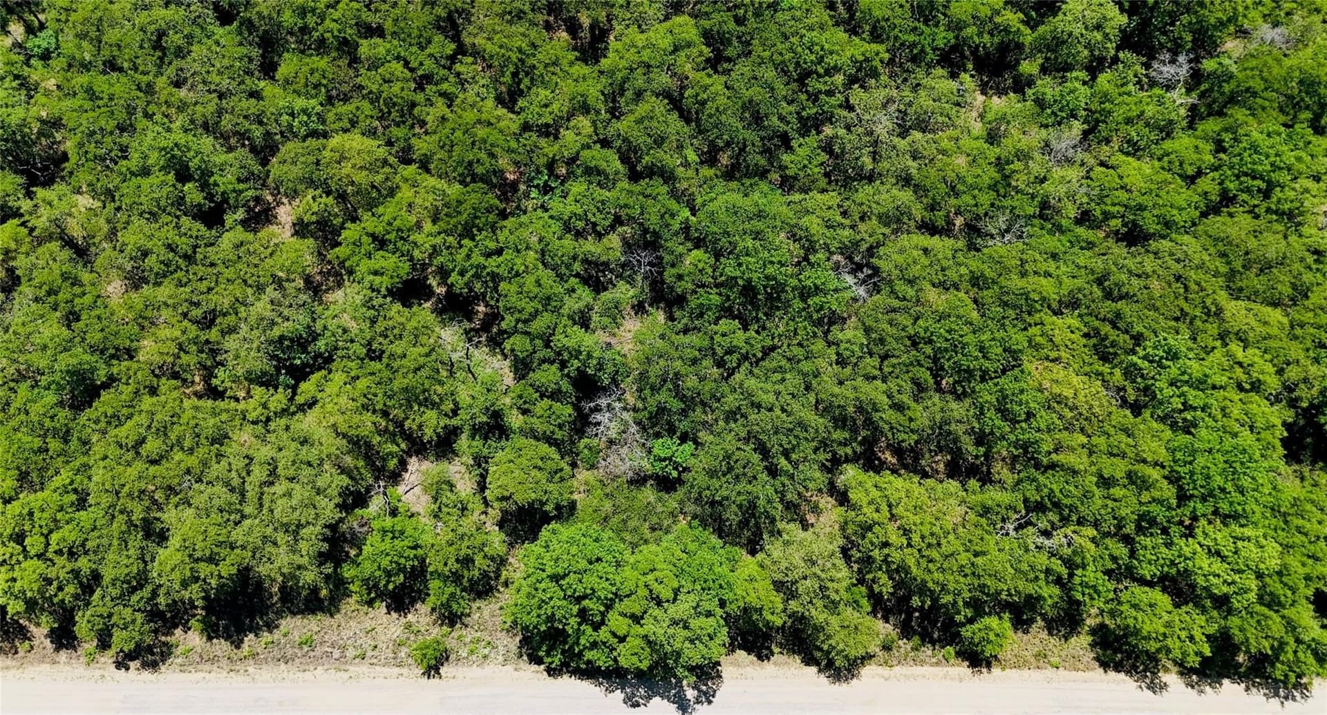 0.5 acres in Montague County - photo 15