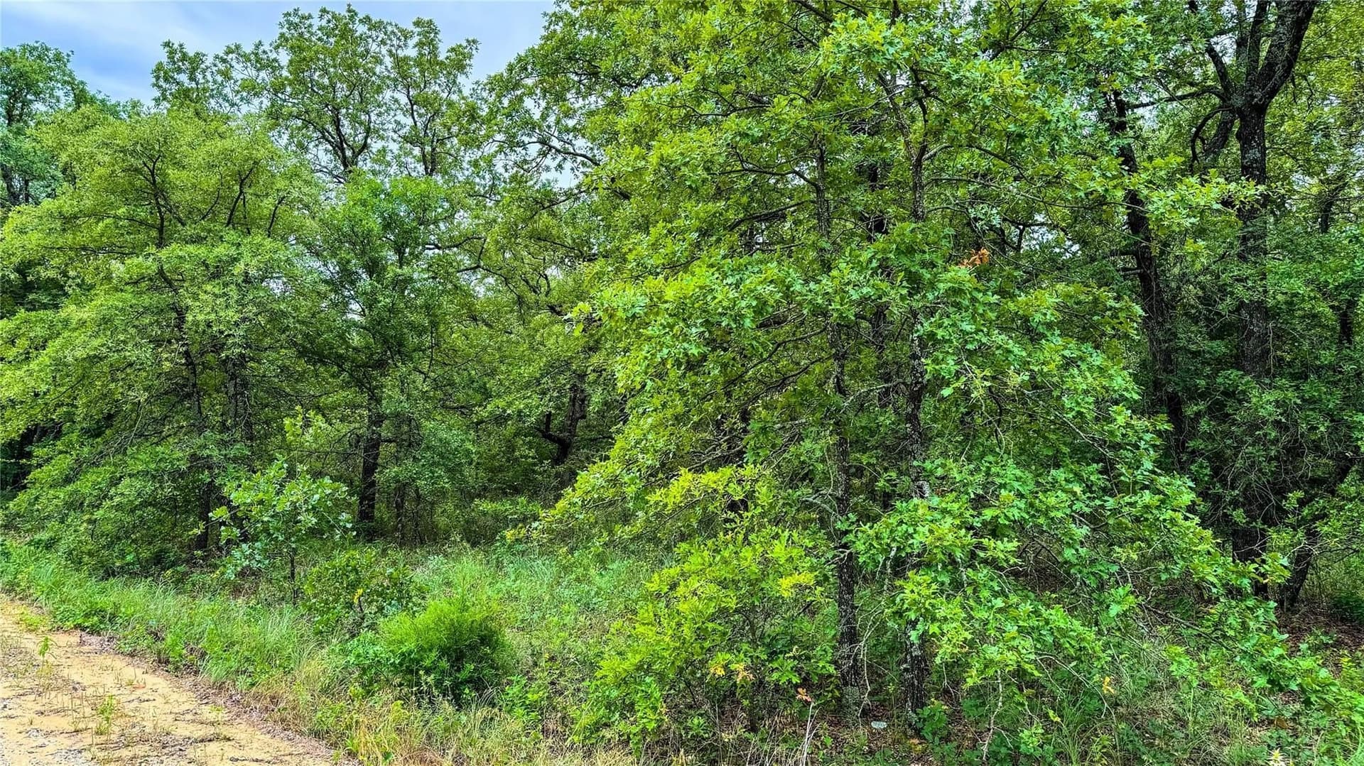 0.5 acres in Montague County - photo 5