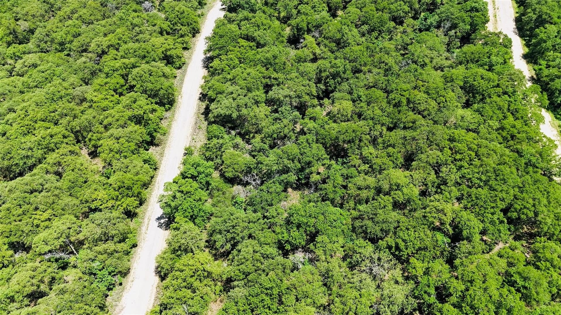 0.5 acres in Montague County - photo 20