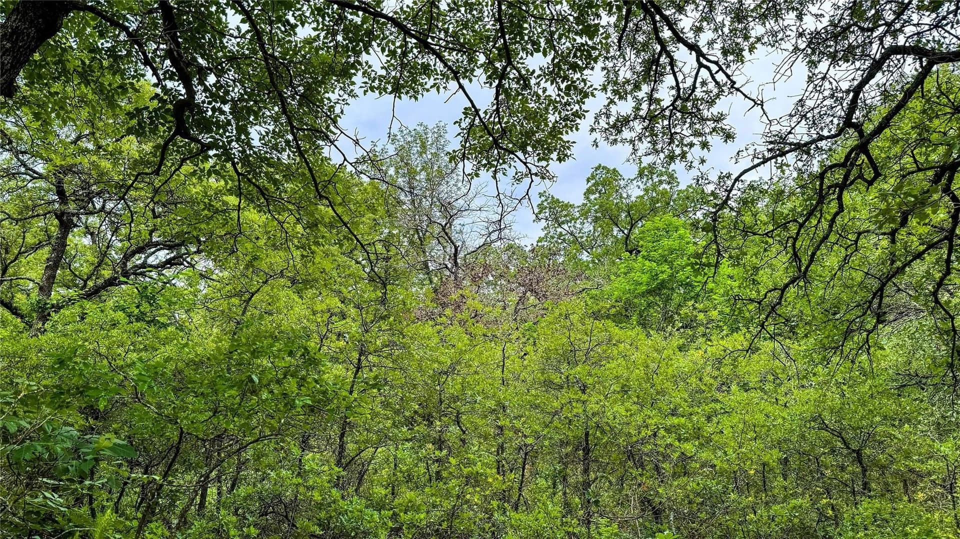 0.5 acres in Montague County - photo 2